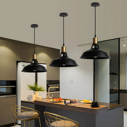 Lampara Colgante 30 Cm estilo Campana - Modelo Industrial Color Negro